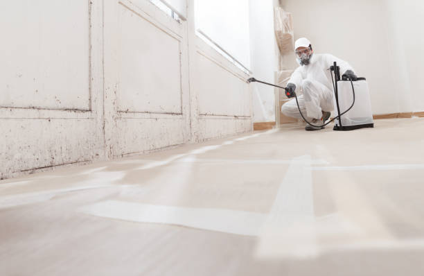 24/7 Emergency Black Mold Remediation experts in Richmond, KY