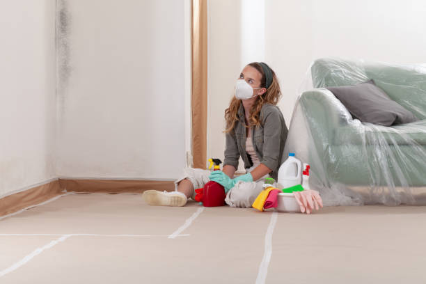 Reliable Black Mold Remediation contractor in Richmond, KY by Mold Remediation HQ